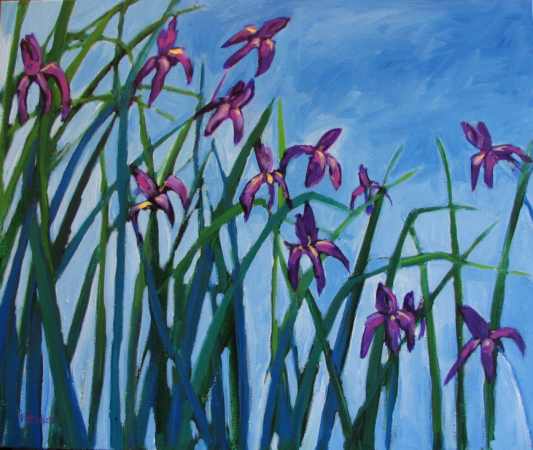 View larger images of my paintings. You may navigate forward and back.