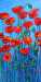 View larger images of my paintings. You may navigate forward and back.