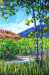 Click on any thumbnail to view larger images. Point to top left or right side of large image for navigation.