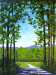 Click on any thumbnail to view larger images. Point to top left or right side of large image for navigation.